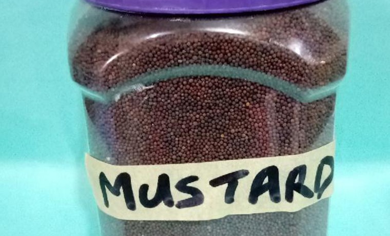 Mustard Seed( 1kg)