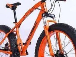 26inches Adult Bicycle