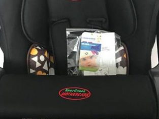 Evergreen Baby Car Seat
