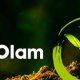 Olam grains, animal and protein