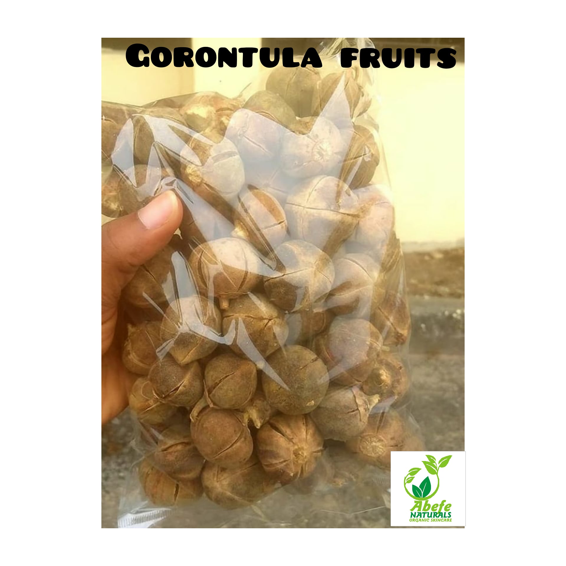 Gorontula Silky Fruit
