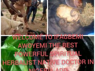 The best powerful spiritual herbalist Nigeria